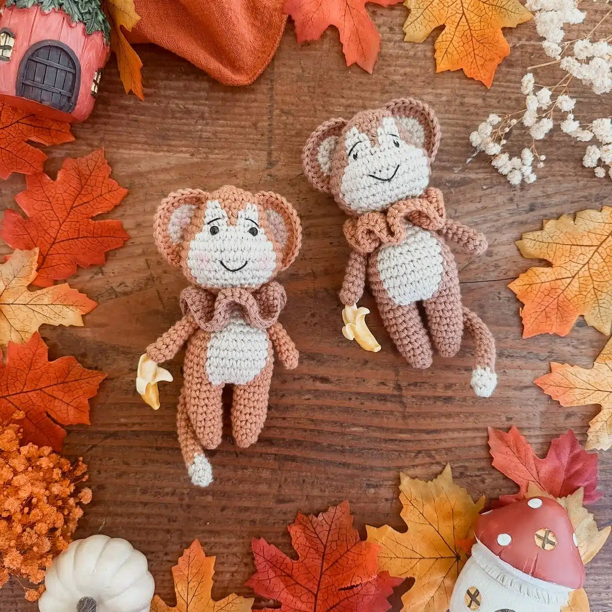 Patron du Mini'z singe