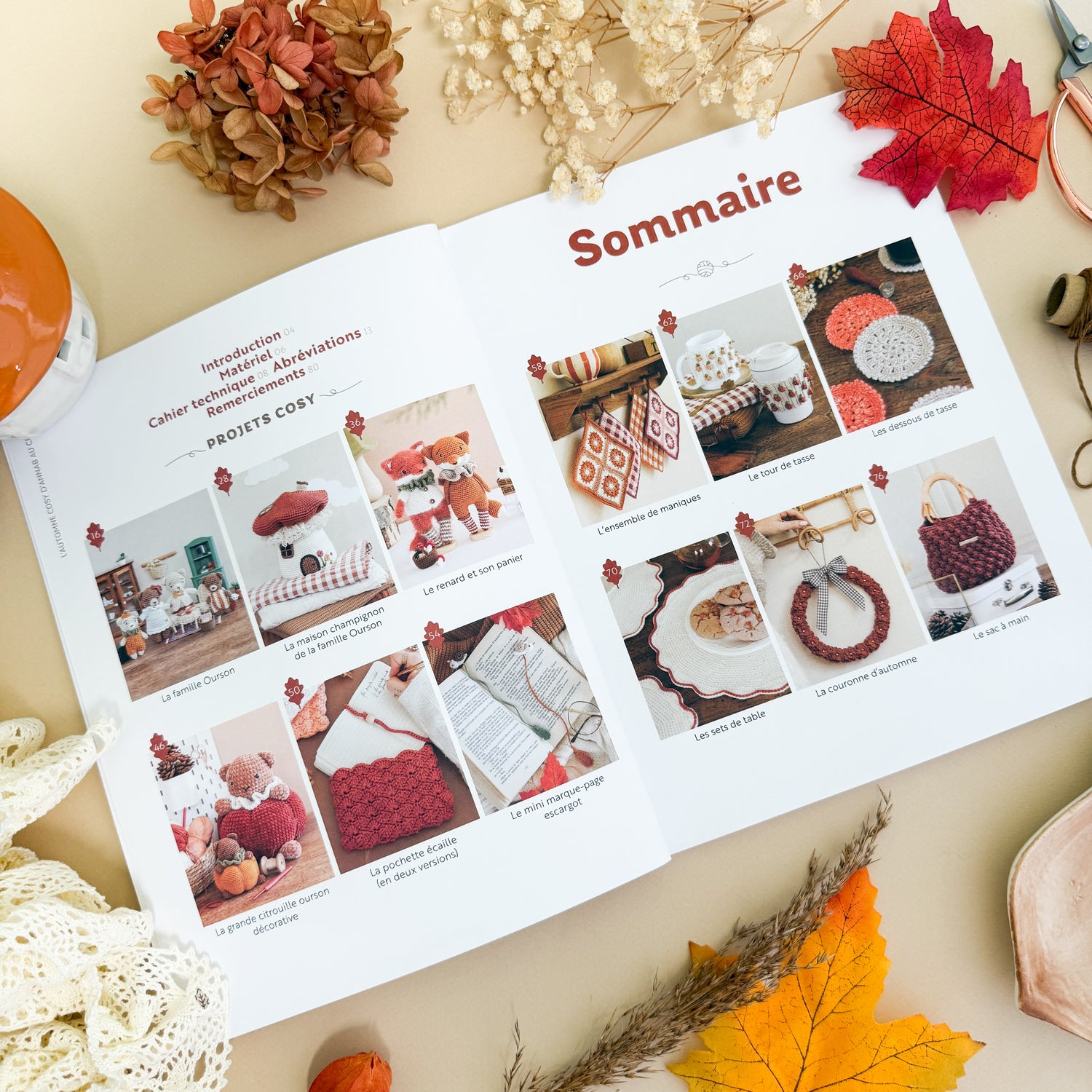 Livre L'Automne cosy d'AnnaB au crochet