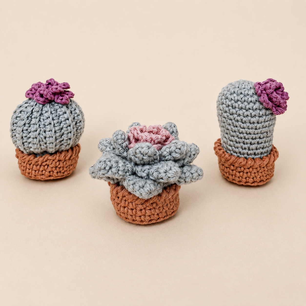 Patron des 3 minis cactus