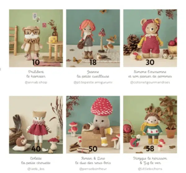 livre, crochet, livre crochet, automne, box crochet, mercerie, annab, kit crochet