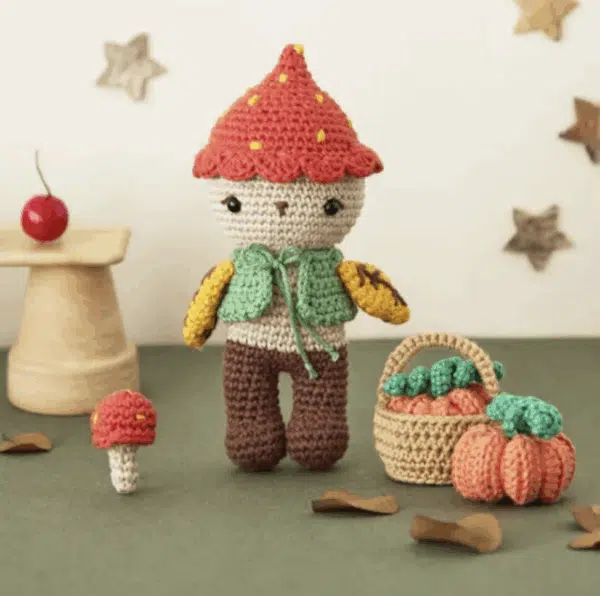 livre, crochet, livre crochet, automne, box crochet, mercerie, annab, kit crochet