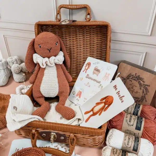 lapin, amigurumi, septembre, annab, annabcrochet, crochet, mercerie, box crochet, kit crochet, patron crochet